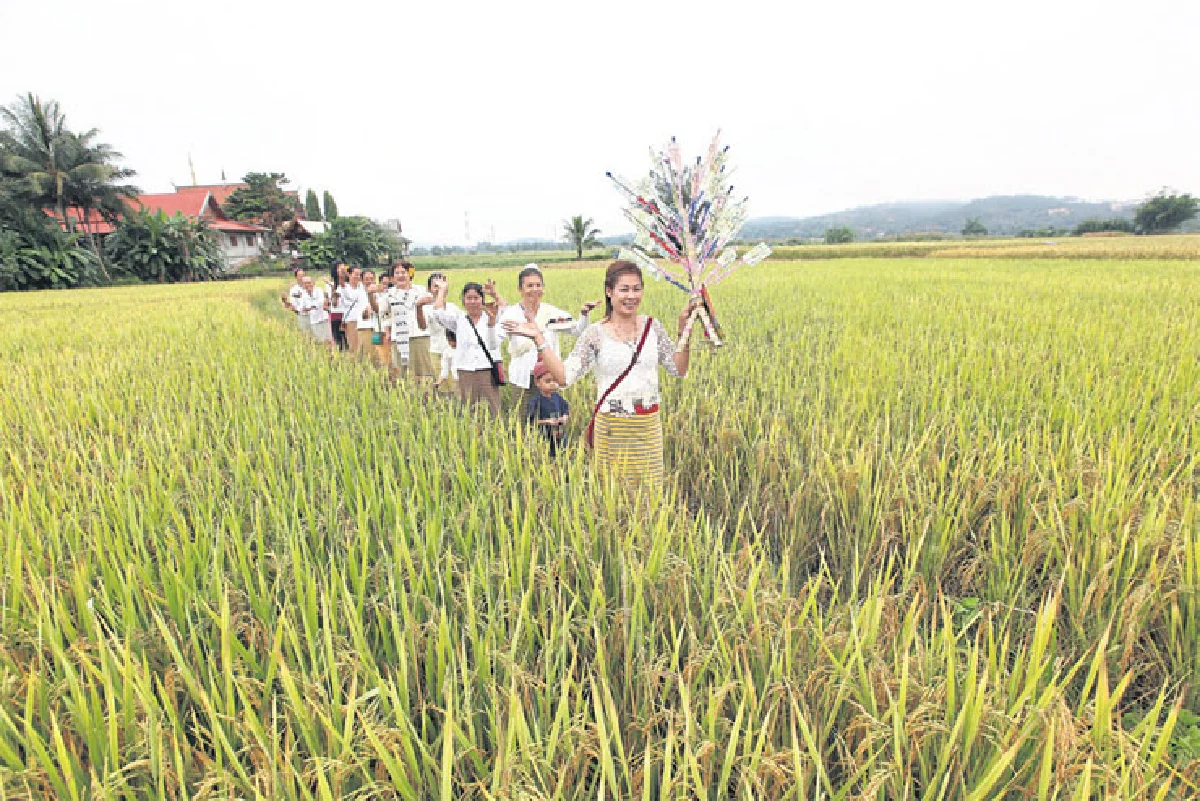 แม่แจ่ม... วิถีแห่งท้องนากลางหุบเขา