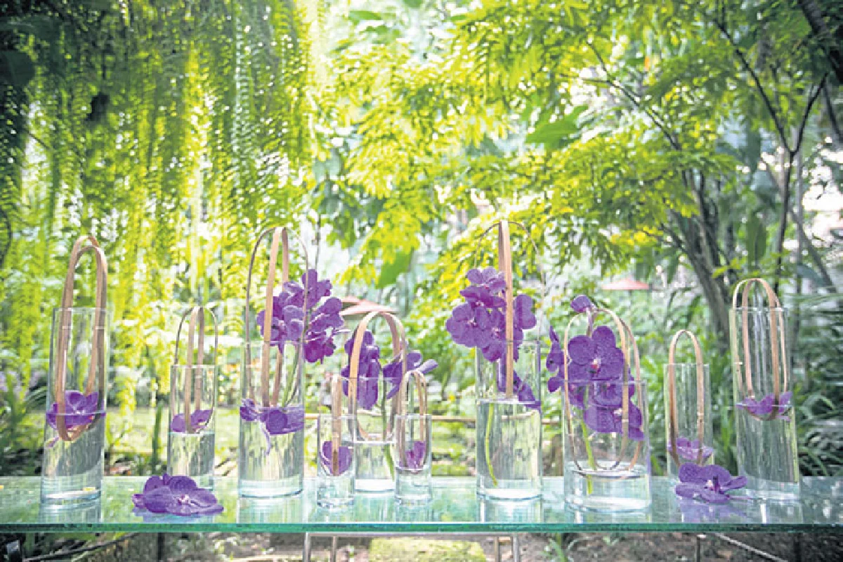 แวนด้าแห่งเหมันต์