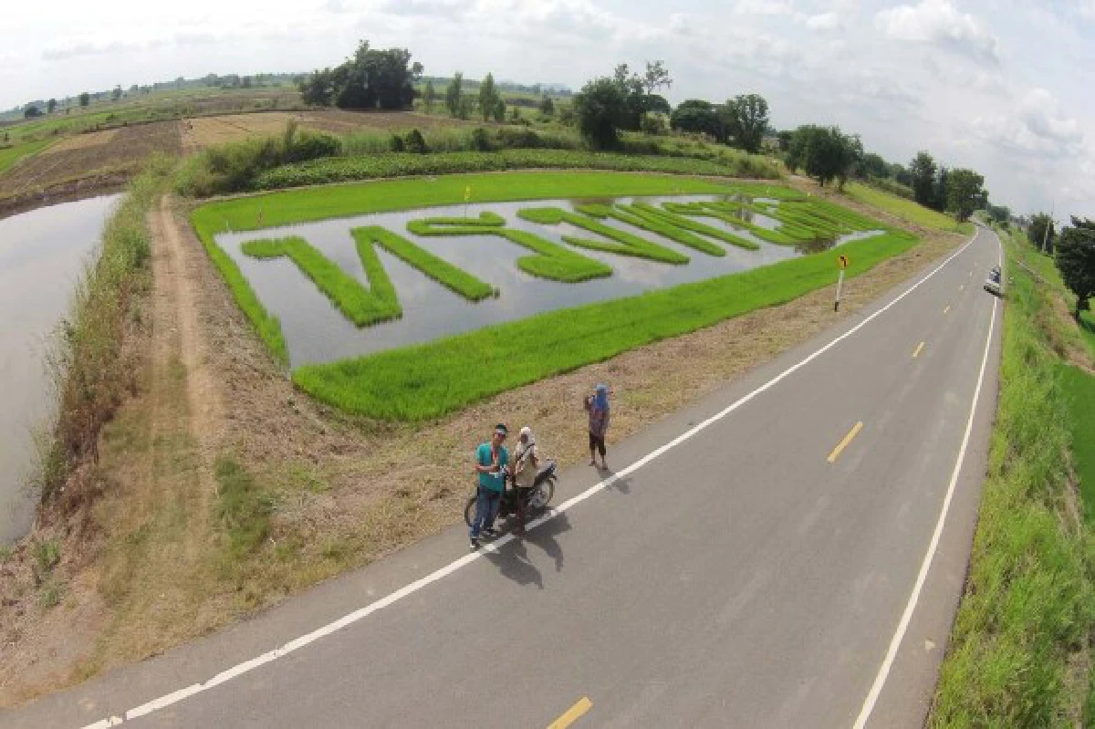 เปิดใจเกษตรกรเจ้าของแปลงนา"ทรงพระเจริญ"