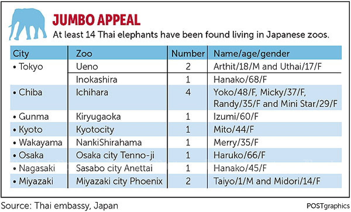 "Lonely" Thai elephant in Tokyo zoo