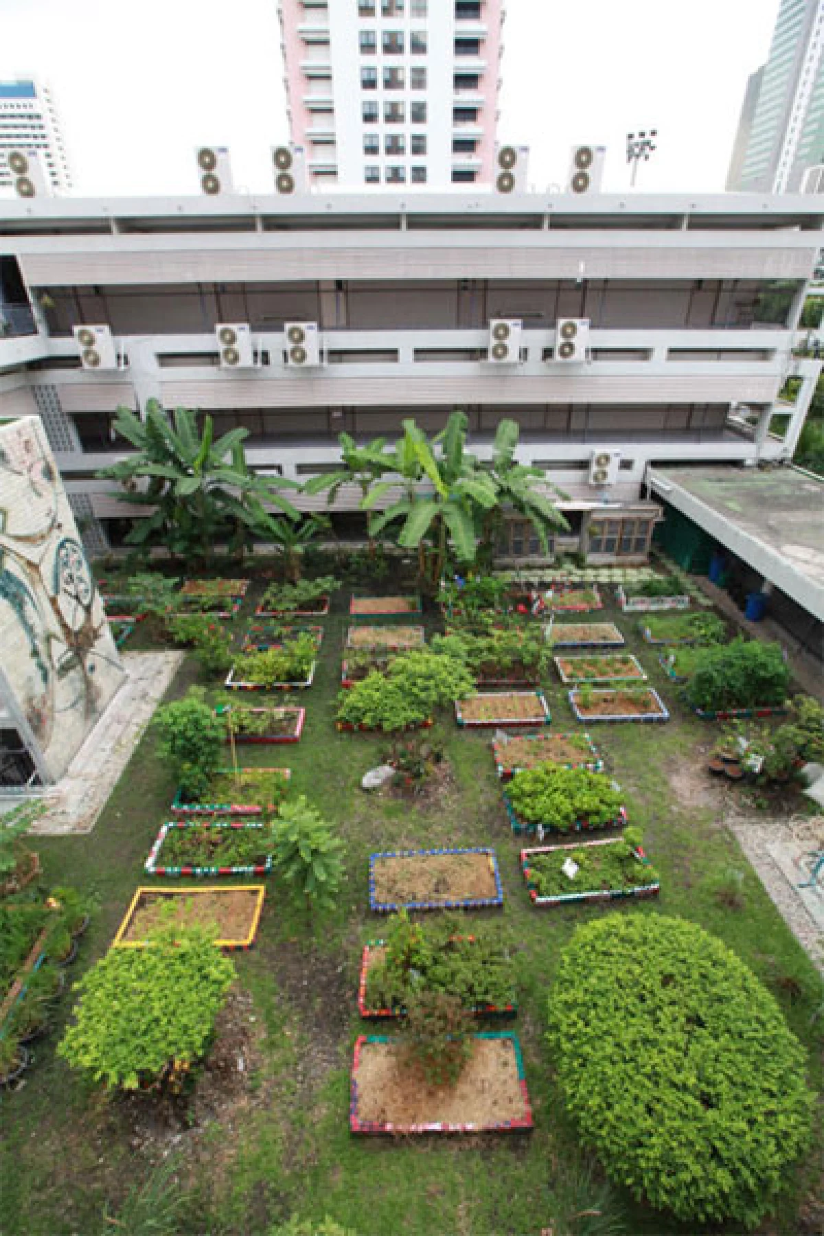 ‘สวนผักดาดฟ้ากลางกรุง’ เพิ่มพื้นที่สีเขียวให้โลก