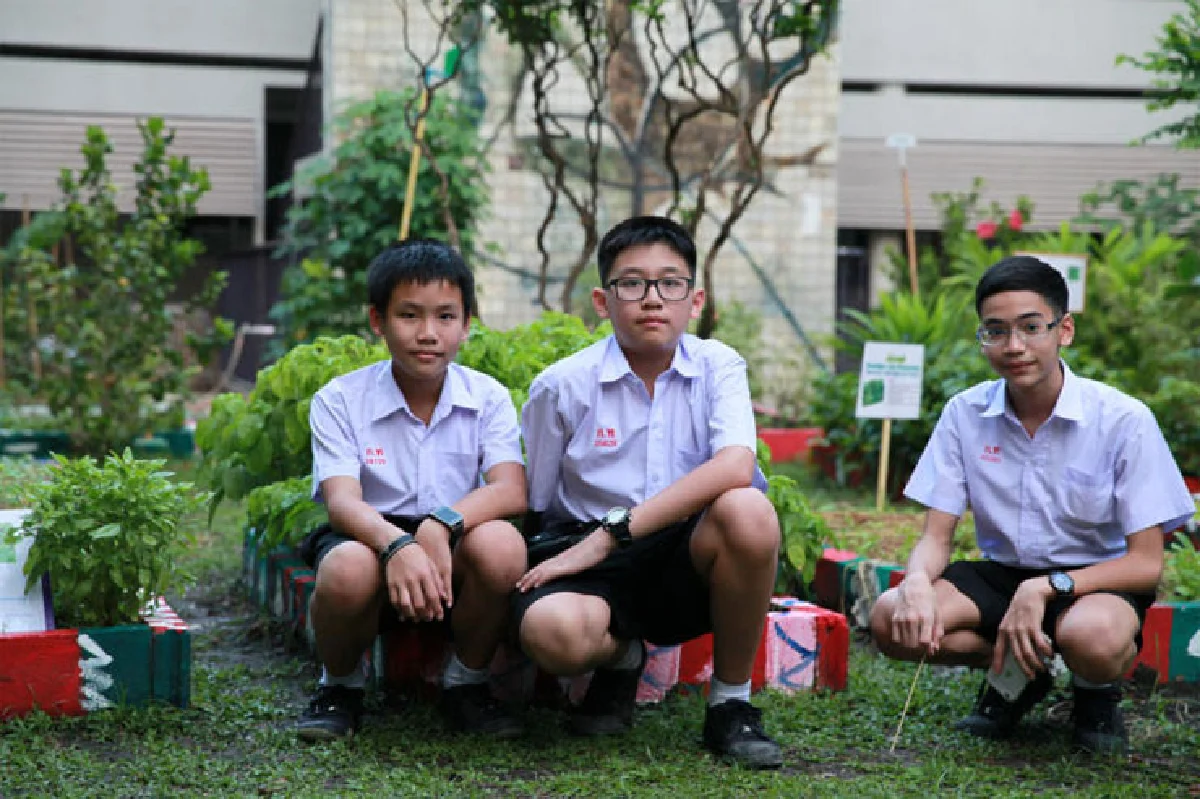 ‘สวนผักดาดฟ้ากลางกรุง’ เพิ่มพื้นที่สีเขียวให้โลก