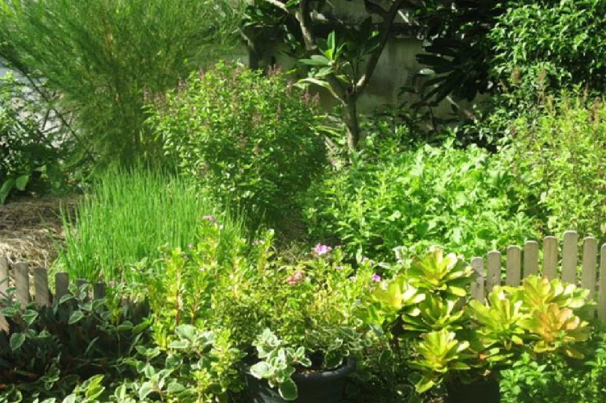 เกษตร 4G ชีวิตที่เลือกของเจ้าชายผัก