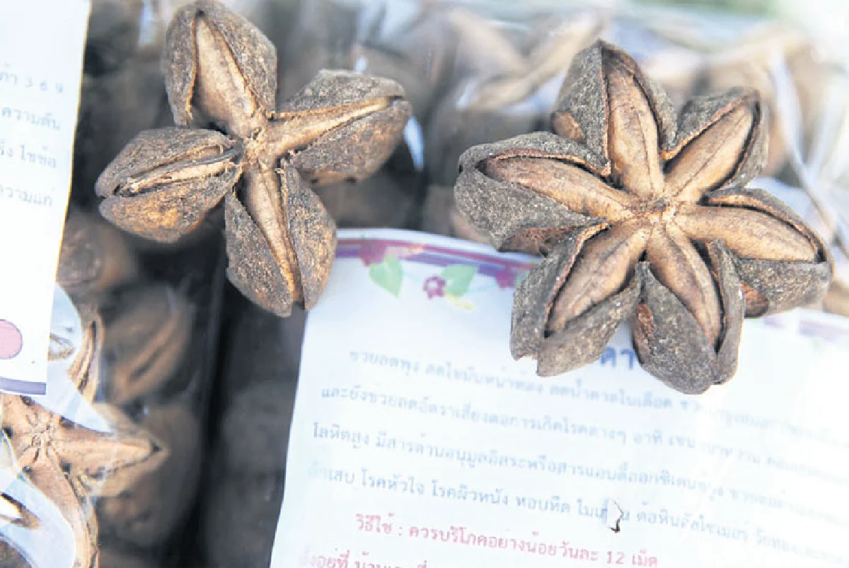 ไตรแลนด์