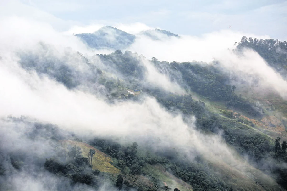 ไตรแลนด์