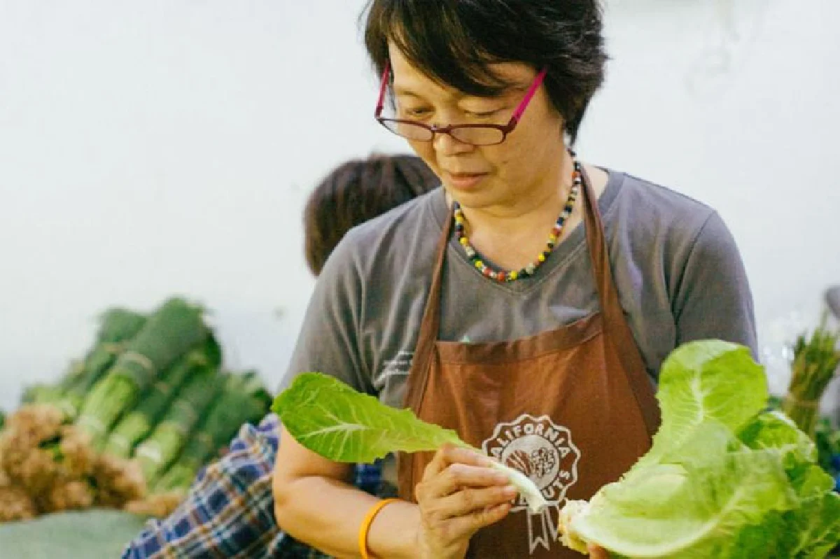 ตะกร้าปันผัก สุขภาพดี ส่งตรงถึงบ้าน