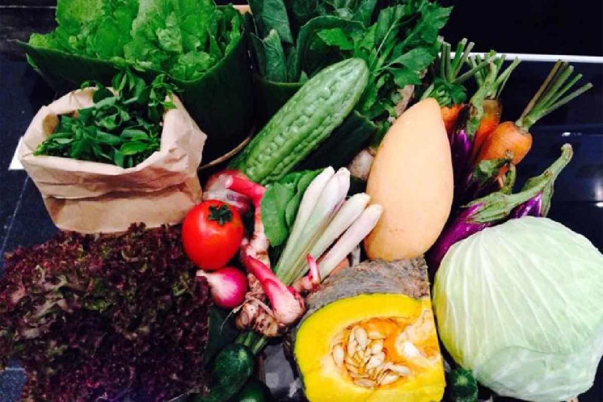 ตะกร้าปันผัก สุขภาพดี ส่งตรงถึงบ้าน