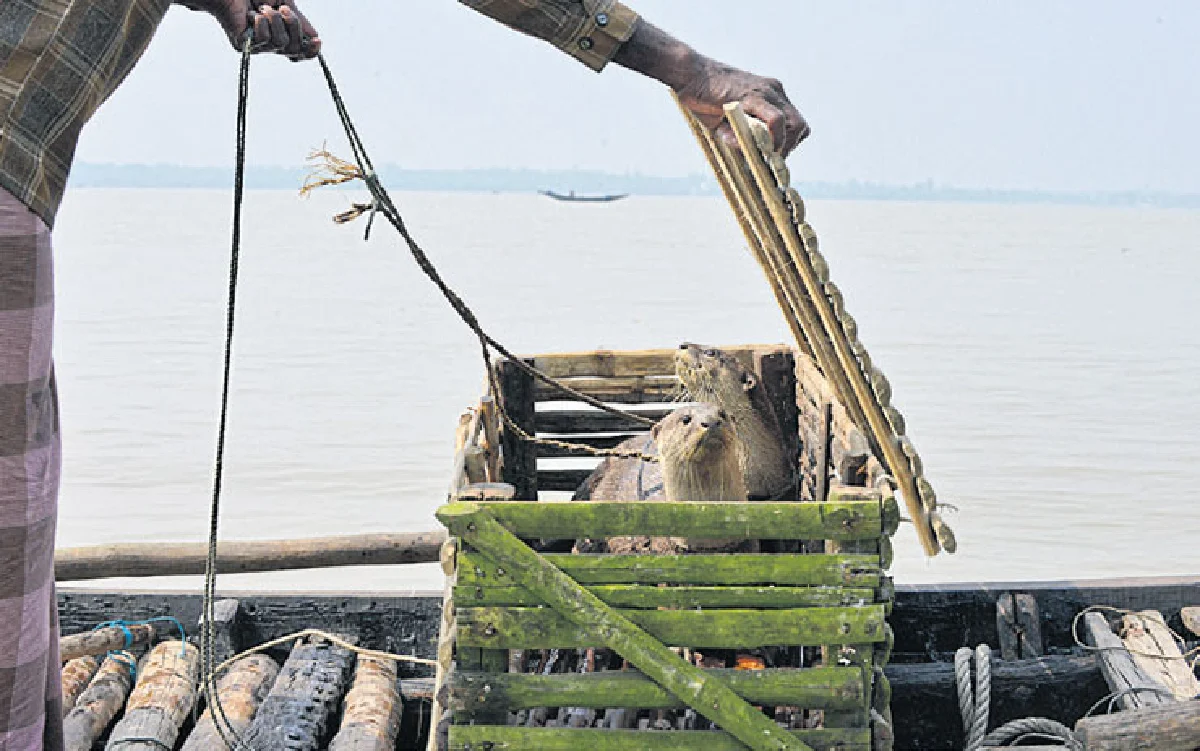 รู้จักบังกลา มากกว่าที่คุณเคยรู้