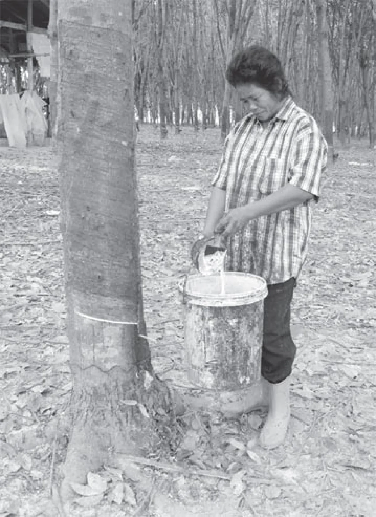 ปัญหาของครอบครัวใหม่