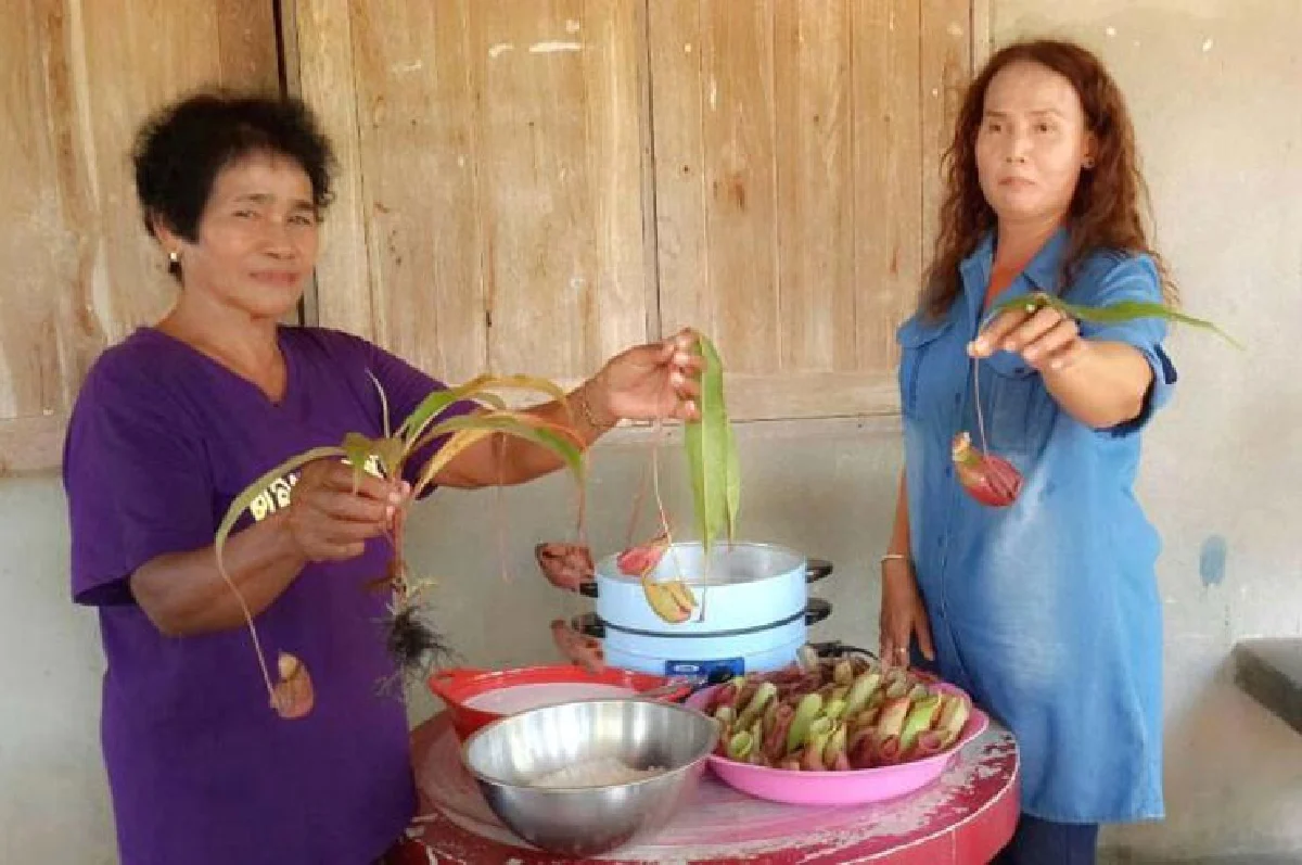 ข้าวเหนียวหม้อแกงลิง ขนมไทยพื้นบ้านหายาก