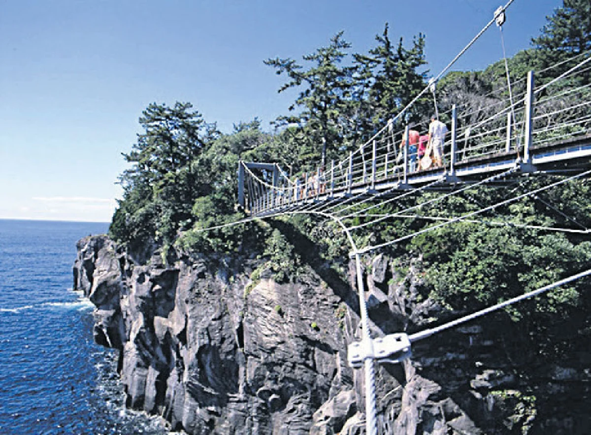 Shizuoka 5