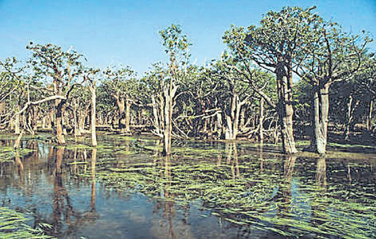 บราซิล-เปรูสวย มหัศจรรย์น่าค้นหา