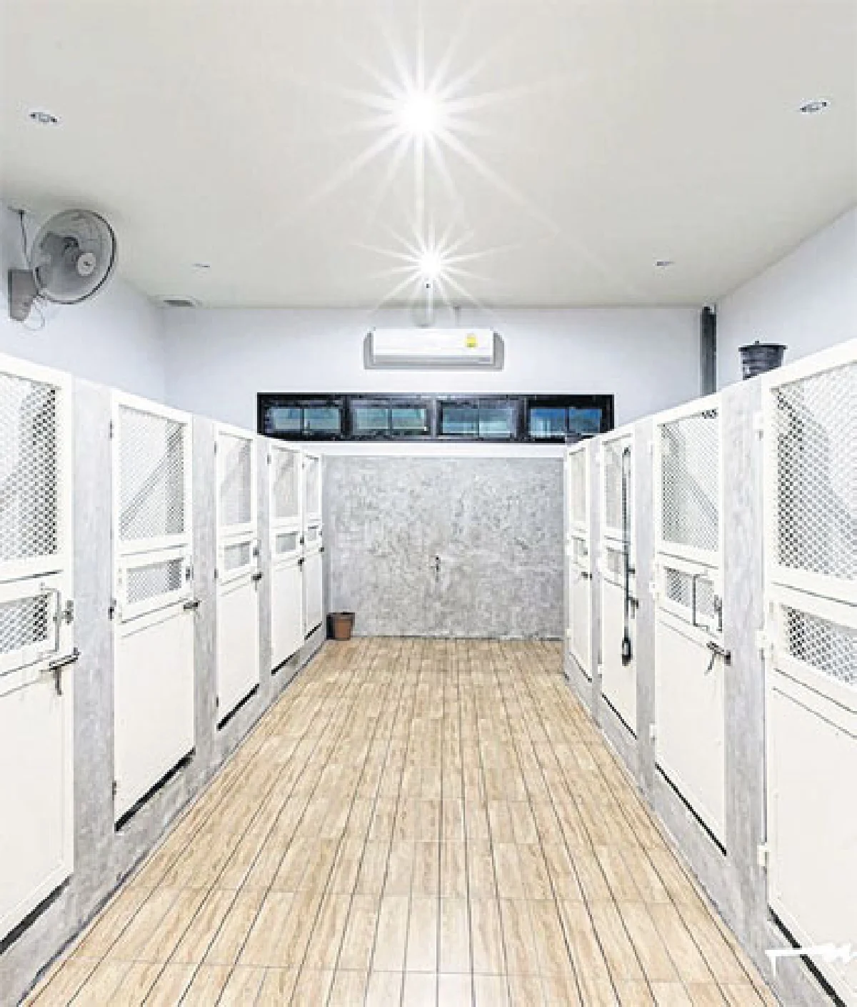 Dog Space คอมมูนิตี้ครบวงจรของคนรักสุนัข