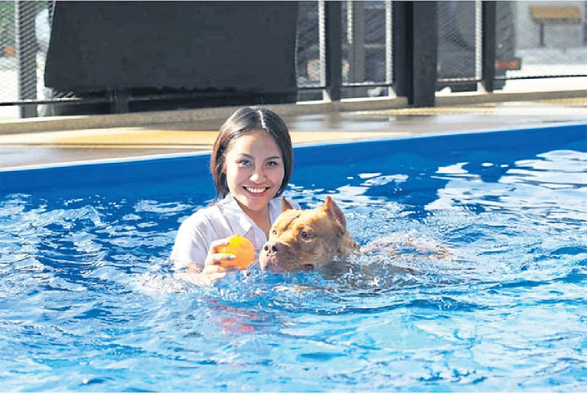 Dog Space คอมมูนิตี้ครบวงจรของคนรักสุนัข