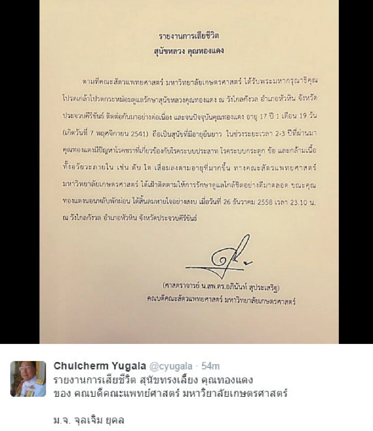 สุนัขหลวง "คุณทองแดง" เสียชีวิตแล้ว