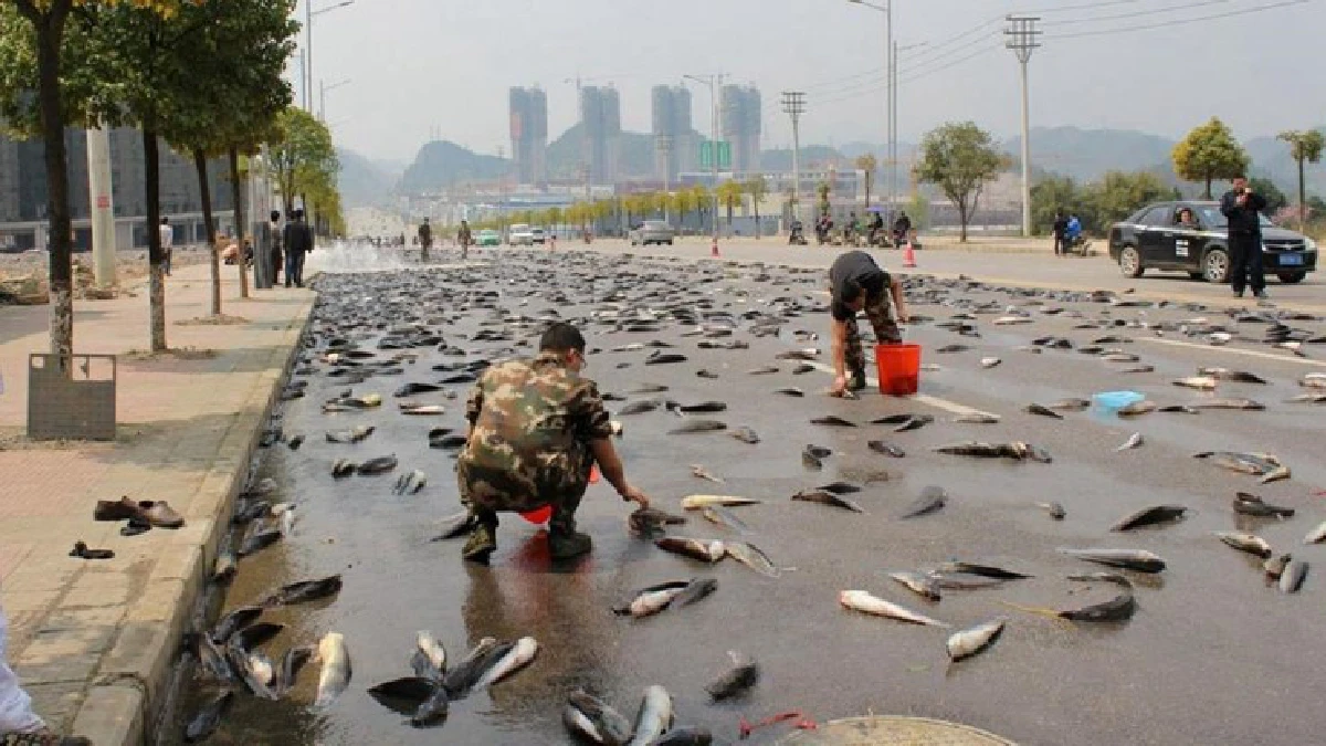 สื่อแดนมังกรเผย10ภาพโดนใจชาวเน็ตจีน