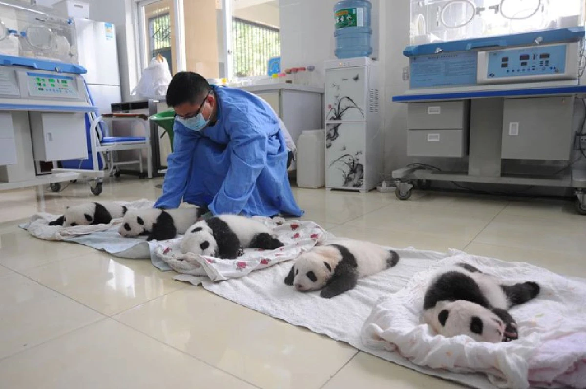 สื่อแดนมังกรเผย10ภาพโดนใจชาวเน็ตจีน