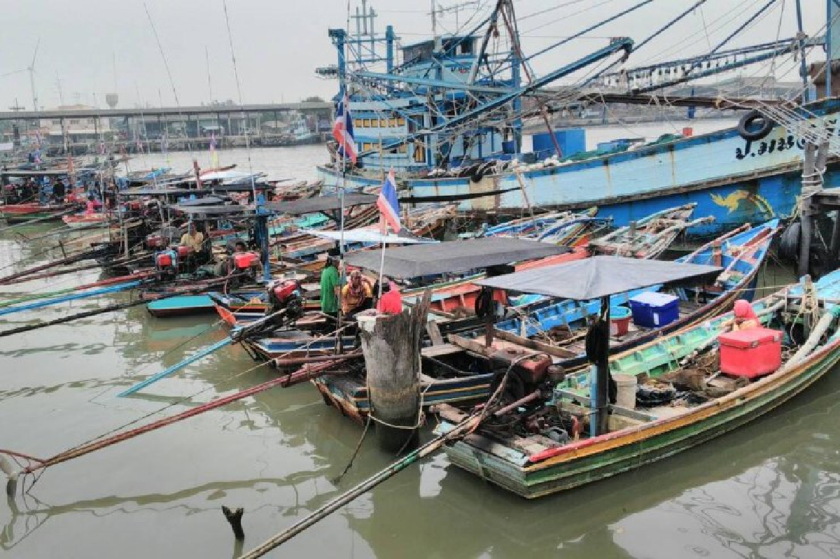 รัฐใช้งบ215ล้านบาทซื้อเรือประมงคืนช่วยชาวประมงที่ได้รับผลกระทบ รัฐใช้งบ215ล้านบาทซื้อเรือประมงคืนช่วยชาวประมงที่ได้รับผลกระทบ