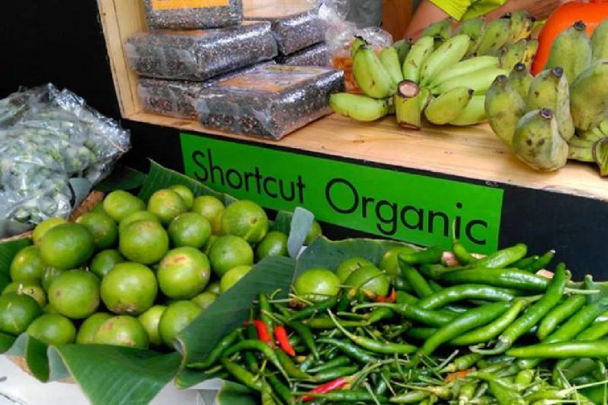 ชอร์ตคัต ออร์แกนิก ทางลัดคนรักสุขภาพ