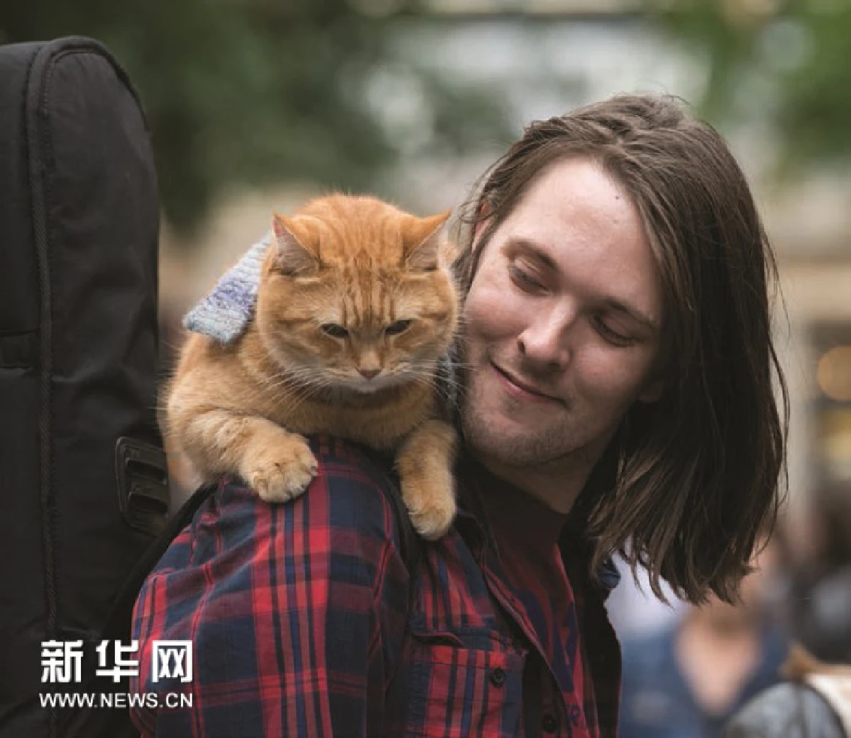 น่ารัก!"บ็อบ"แมวข้างถนนชื่อดัง ได้เป็นพระเอกหนังแล้ว