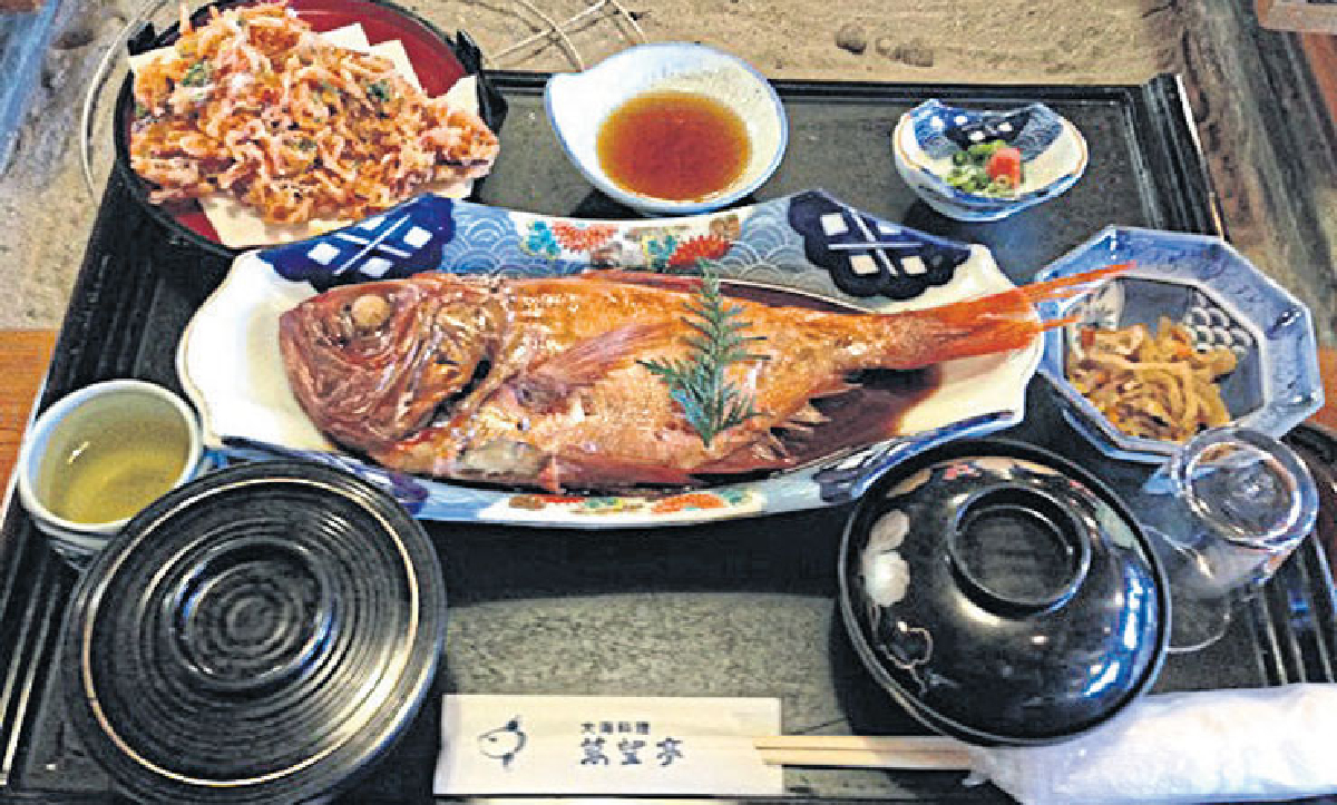 Shizuoka 6 Shizuoka 6