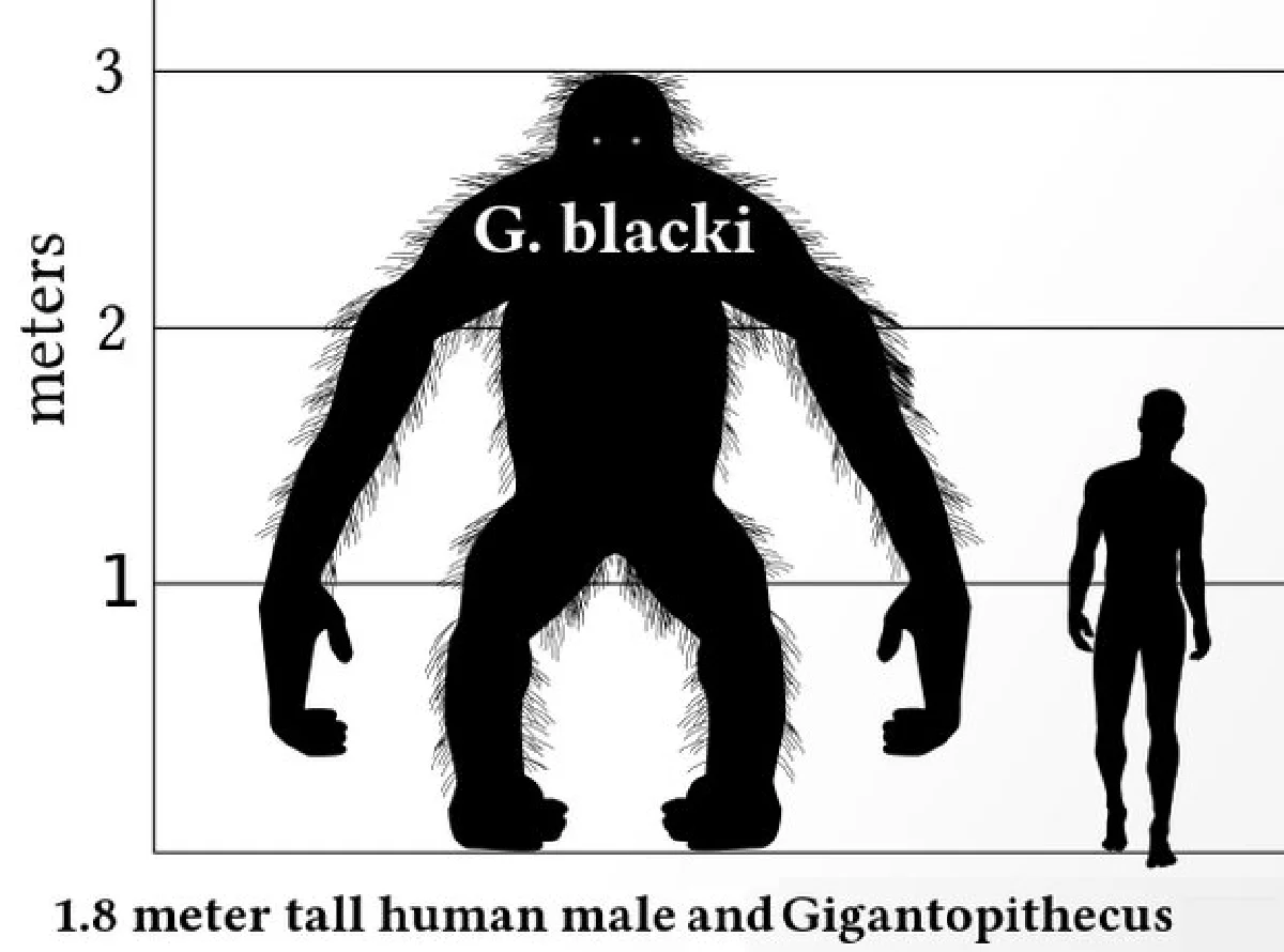 Thailand's King Kong, a victim of climate change and diet?