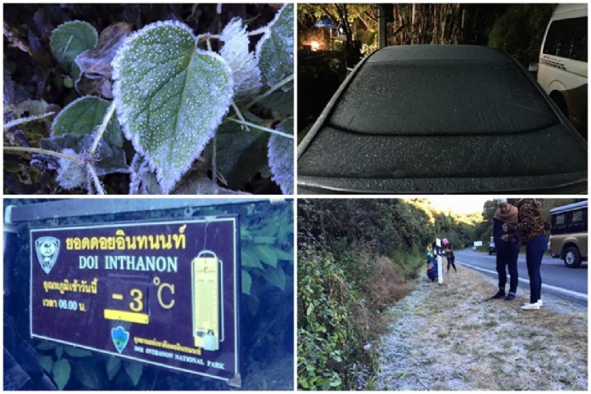 เย็นยะเยือก!ดอยอินทนนท์ยอดหญ้าติดลบ 3 องศา เย็นยะเยือก!ดอยอินทนนท์ยอดหญ้าติดลบ 3 องศา