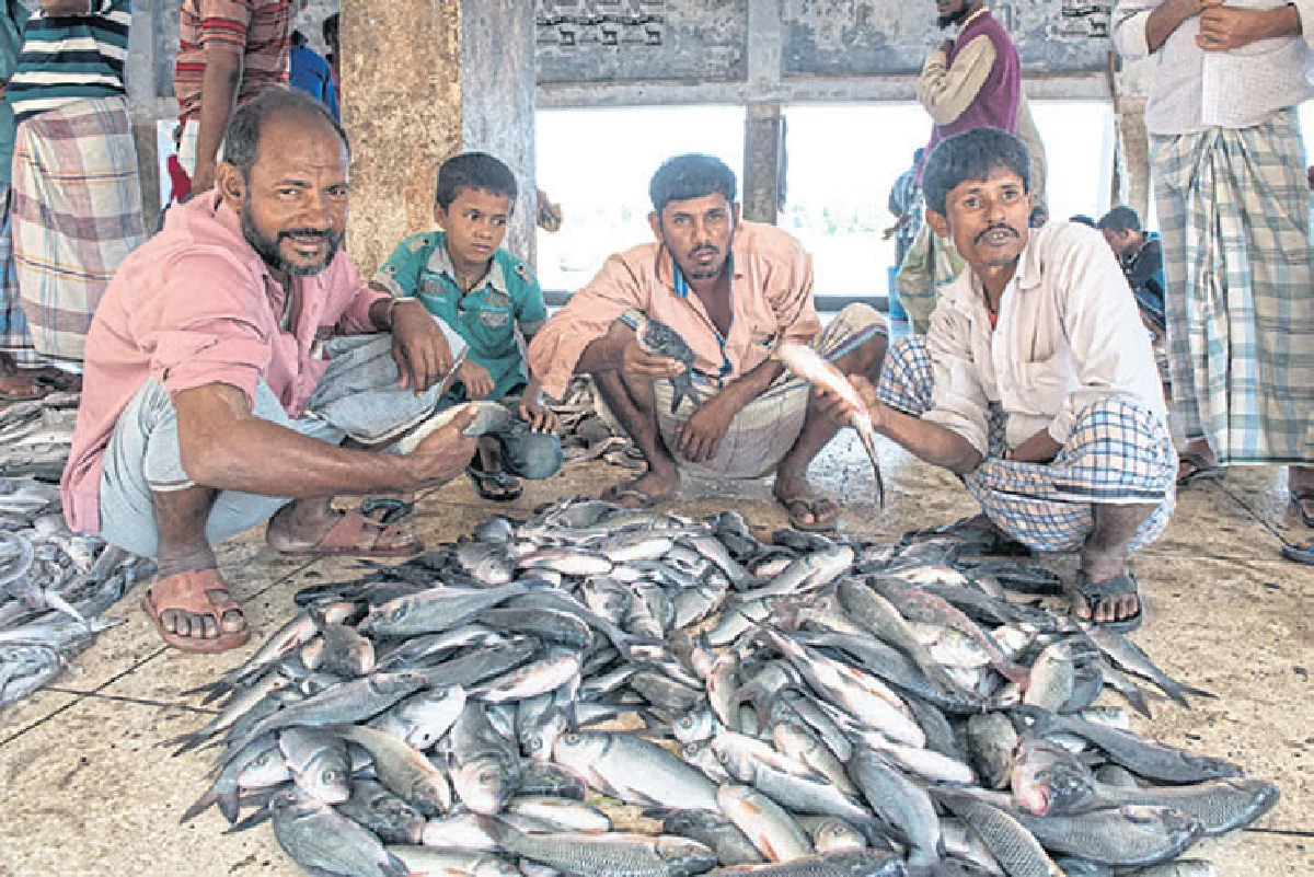 ค็อกซ์บาซาร์