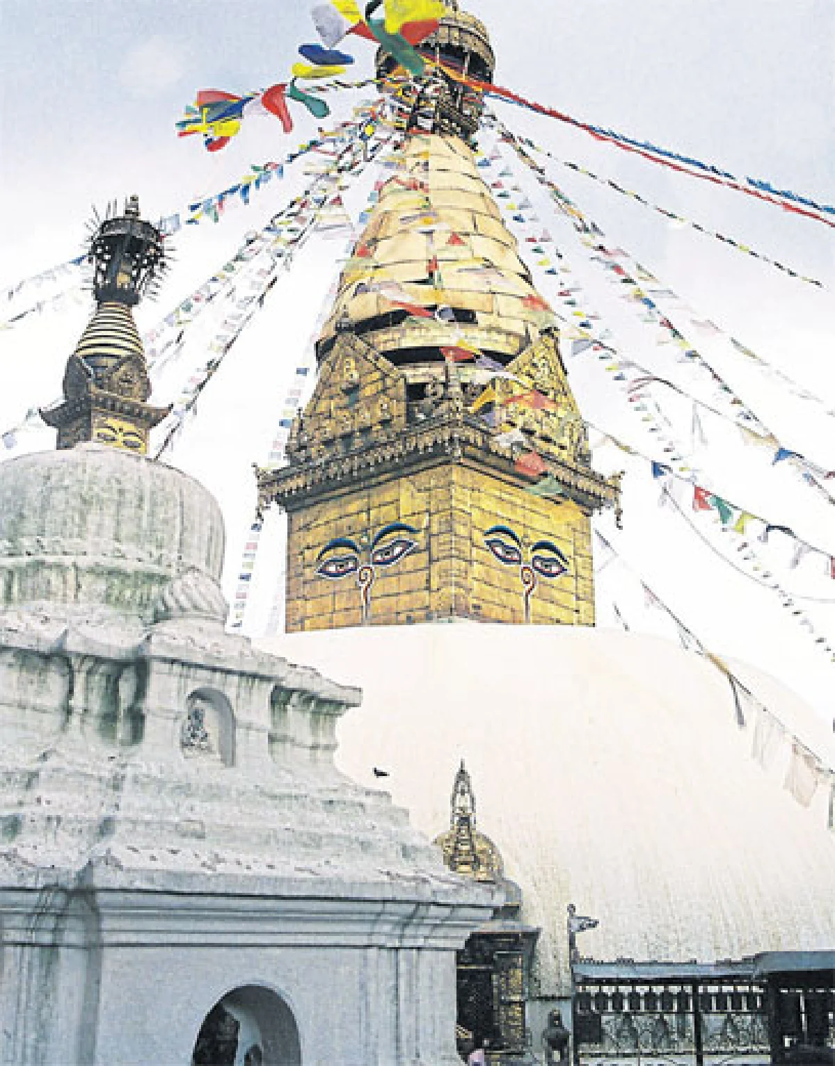 แบ็กแพ็กเกอร์ สองวัย สไตล์เลดี้