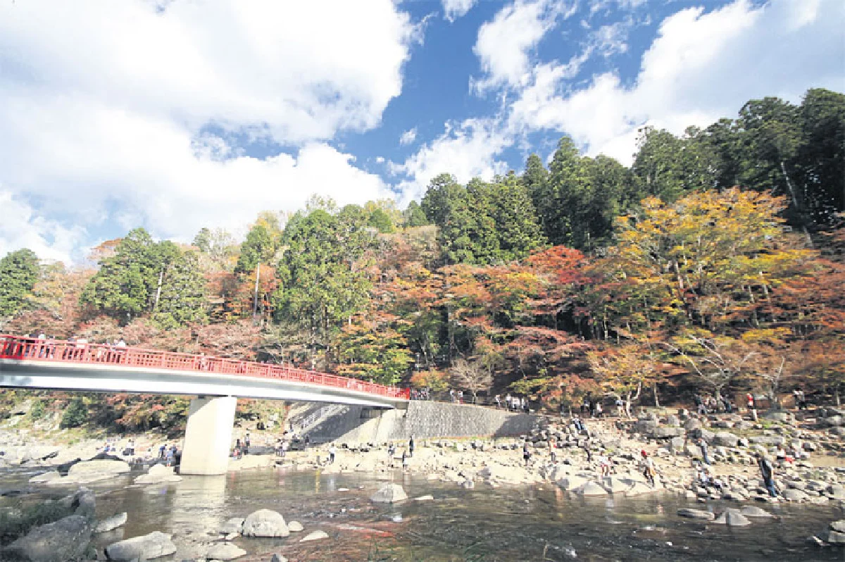 เที่ยวเอง แบบครบรส ชมใบไม้เปลี่ยนสีที่ โครังเค