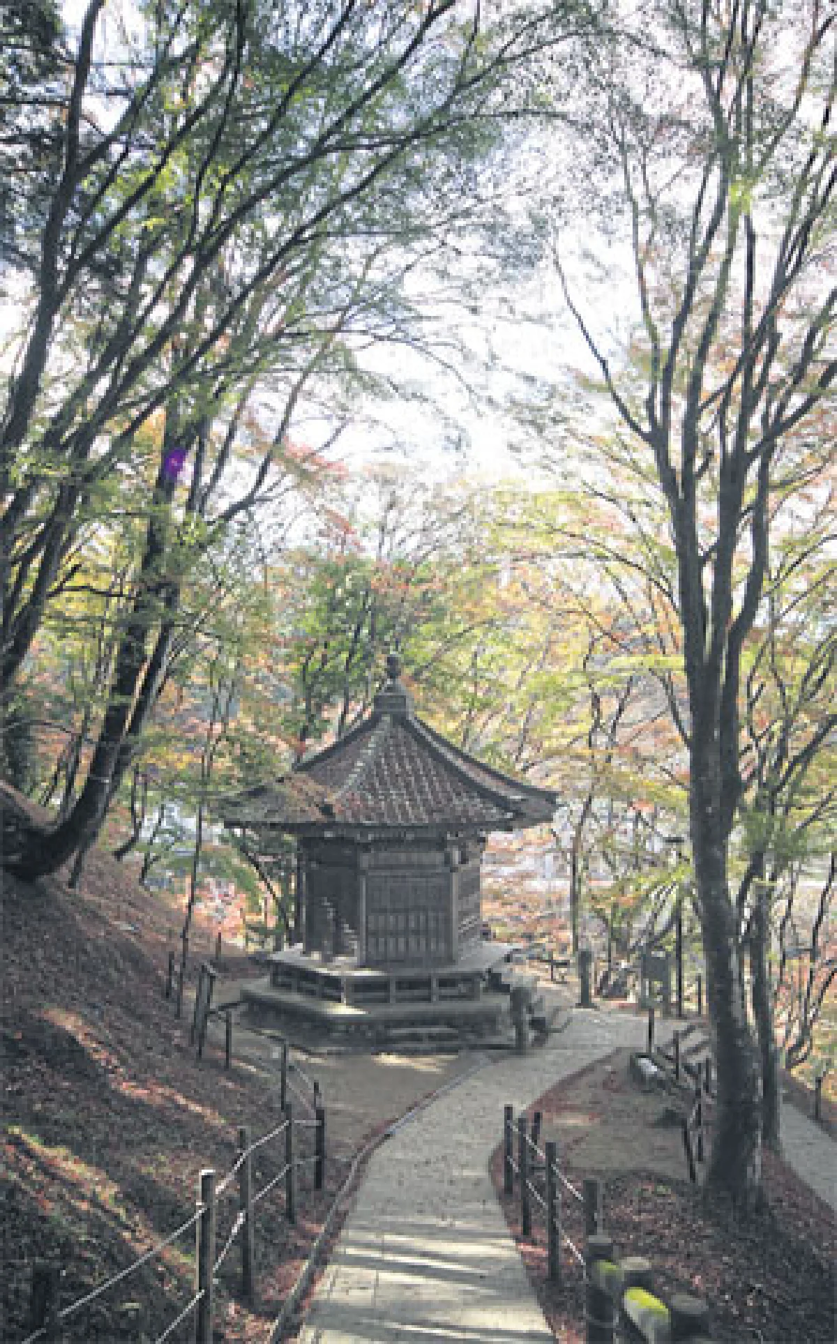 เที่ยวเอง แบบครบรส ชมใบไม้เปลี่ยนสีที่ โครังเค