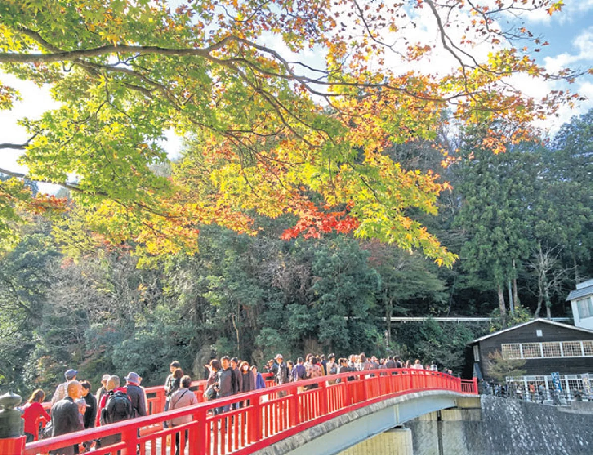 เที่ยวเอง แบบครบรส ชมใบไม้เปลี่ยนสีที่ โครังเค