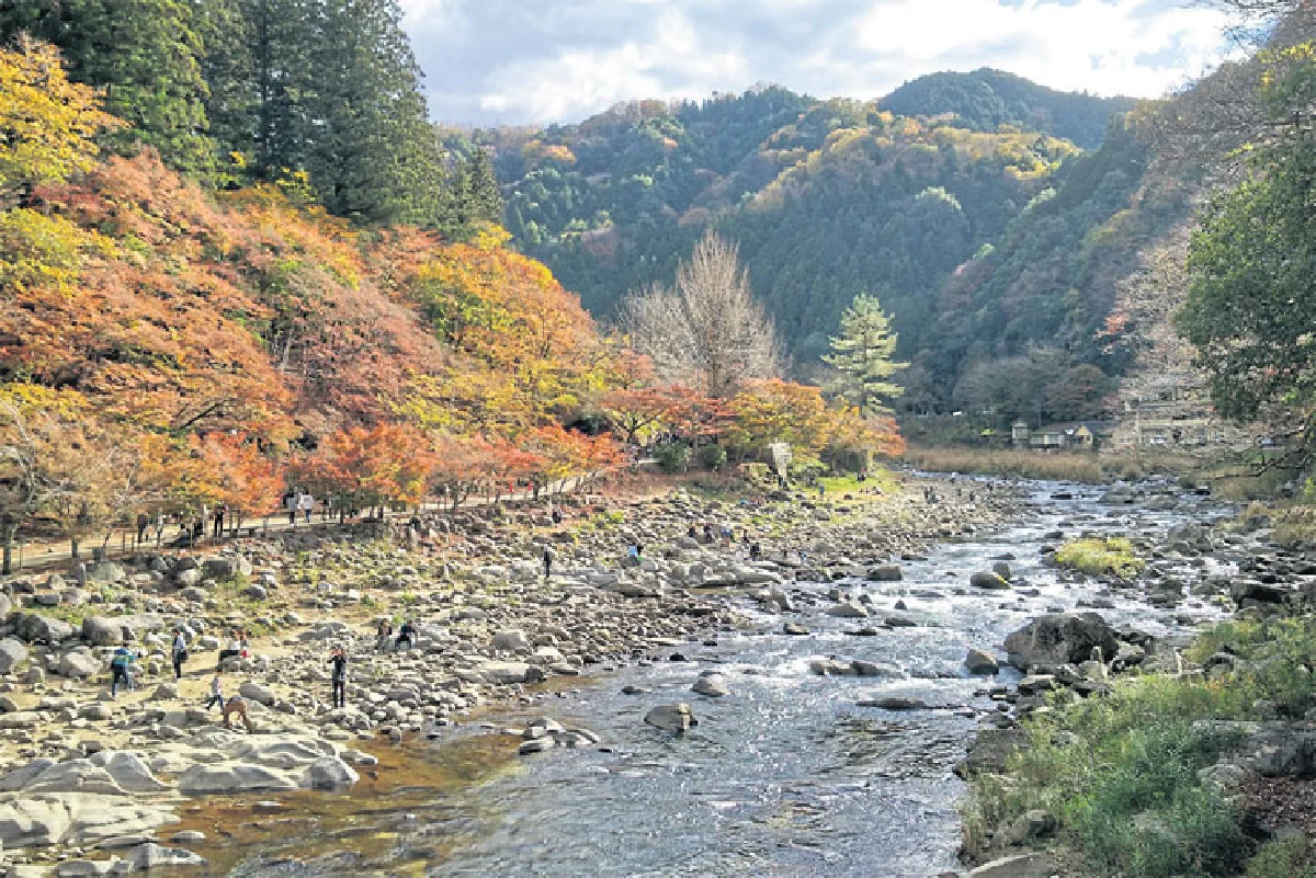 เที่ยวเอง แบบครบรส ชมใบไม้เปลี่ยนสีที่ โครังเค