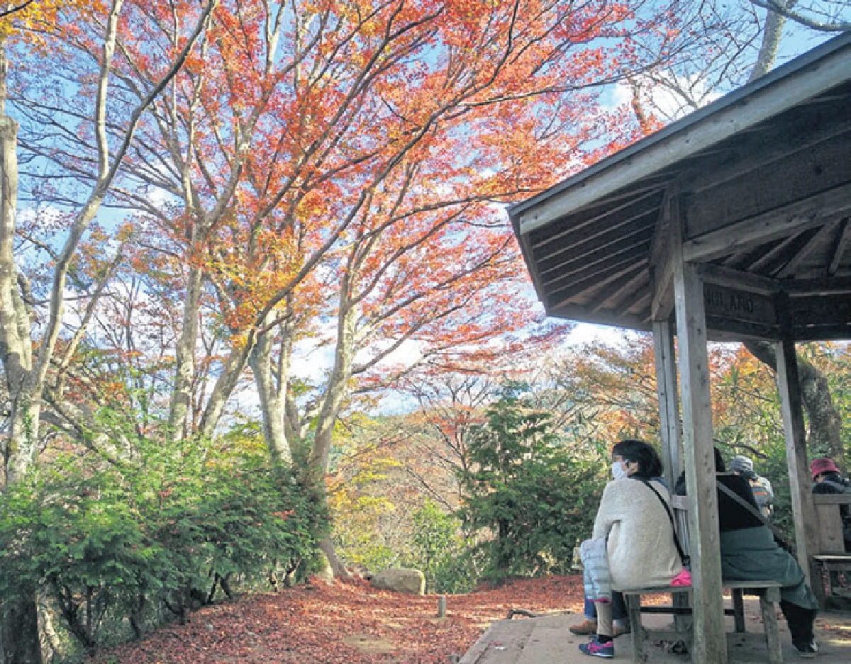 เที่ยวเอง แบบครบรส ชมใบไม้เปลี่ยนสีที่ โครังเค