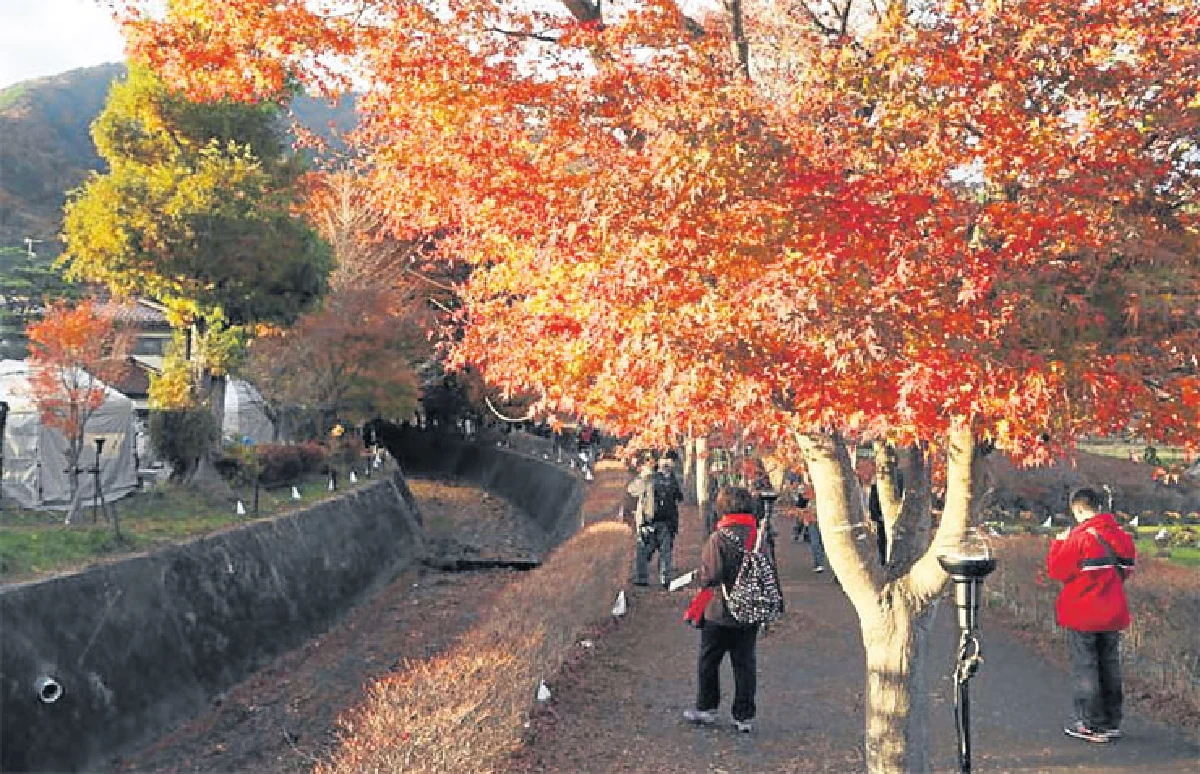 ยามานะชิ ที่ไม่ได้มีแค่ภูเขาไฟฟูจิ!