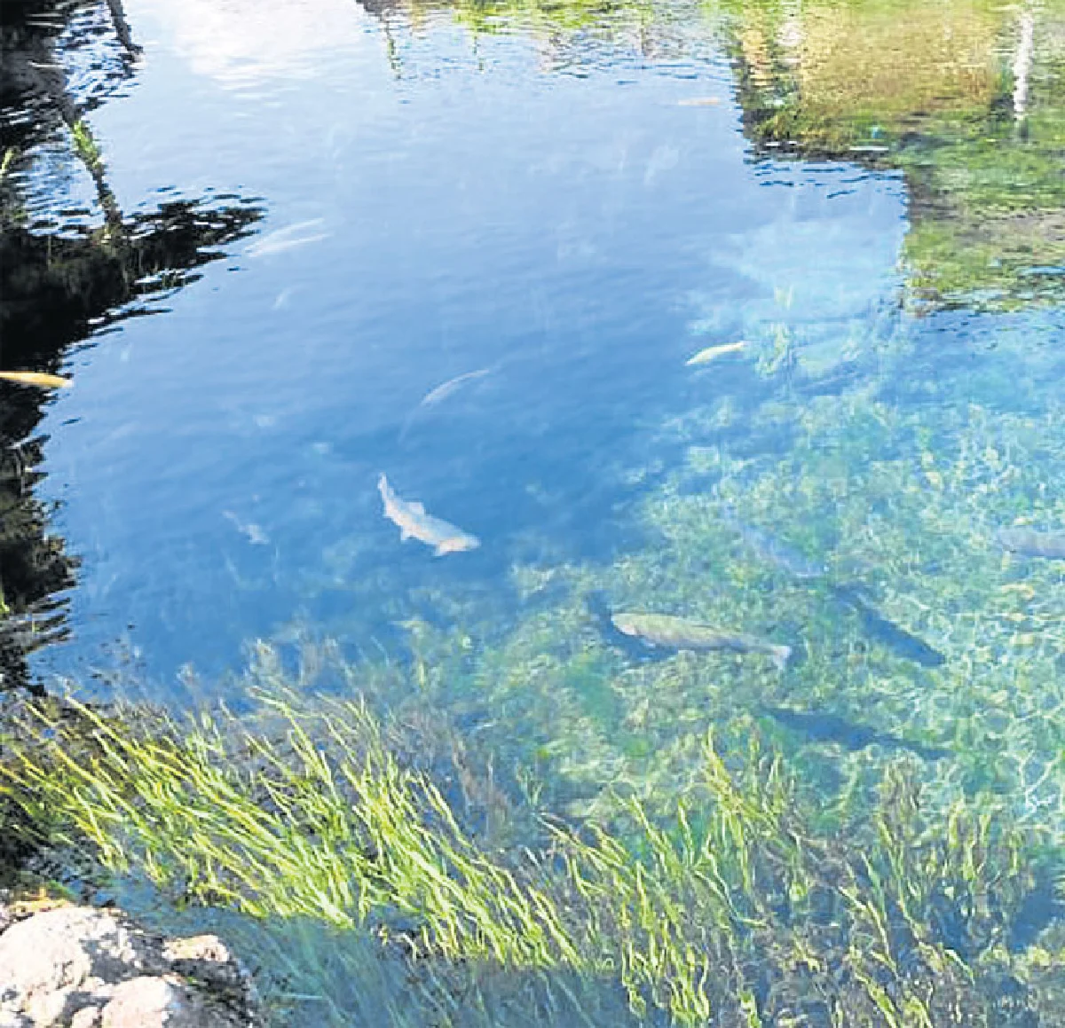 ยามานะชิ ที่ไม่ได้มีแค่ภูเขาไฟฟูจิ!