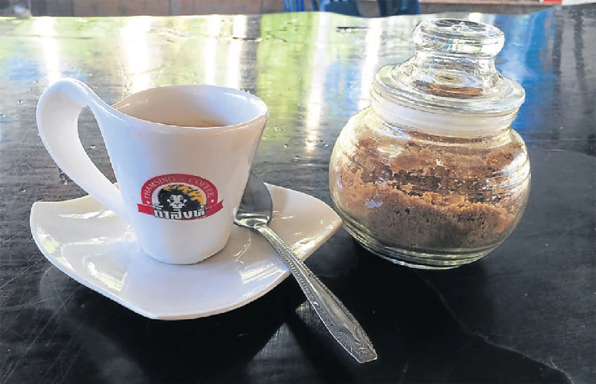 ดอกกาแฟ บานที่ชุมพร