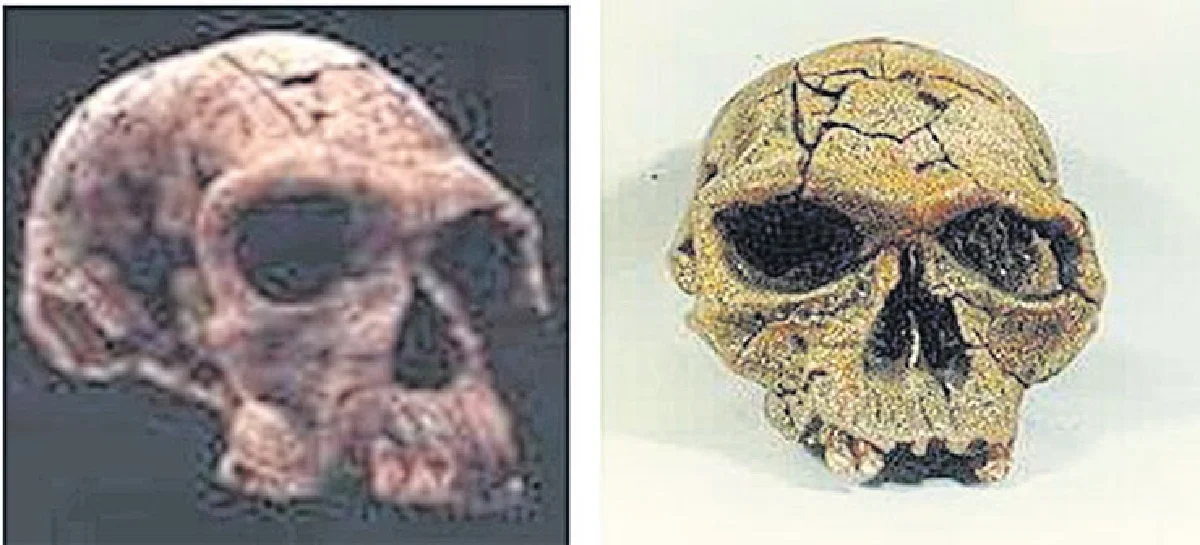 ห่วงโซ่ที่ขาดหาย