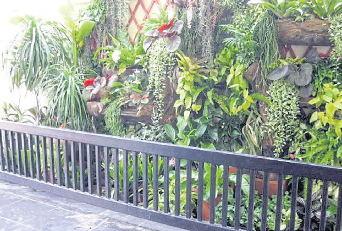 เนรมิตรั้วกำแพงให้เป็นสวนสวย