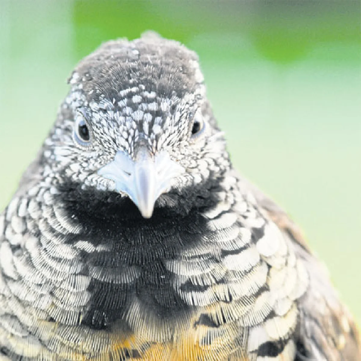 ‘จีบ’ใครคิดว่าไม่สำคัญ