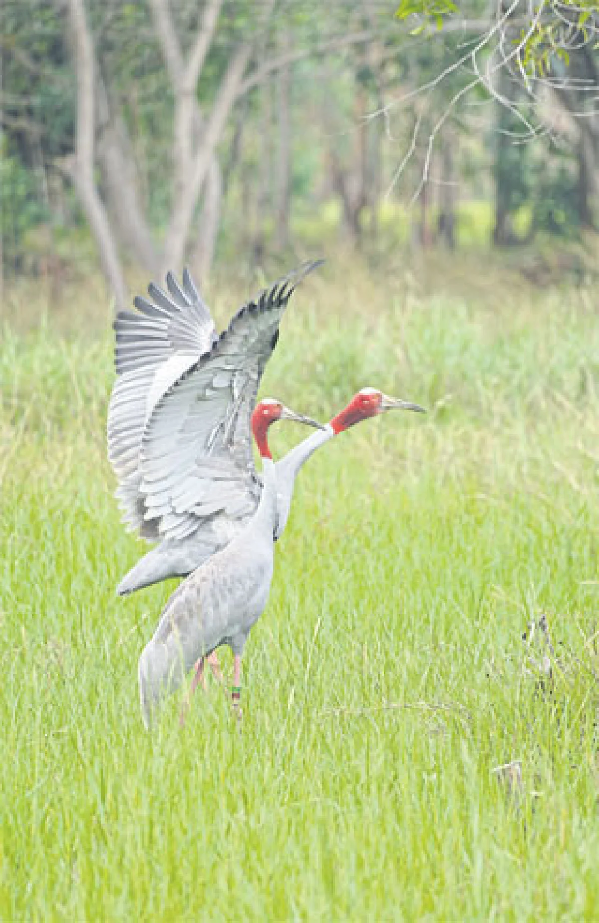 ‘จีบ’ใครคิดว่าไม่สำคัญ