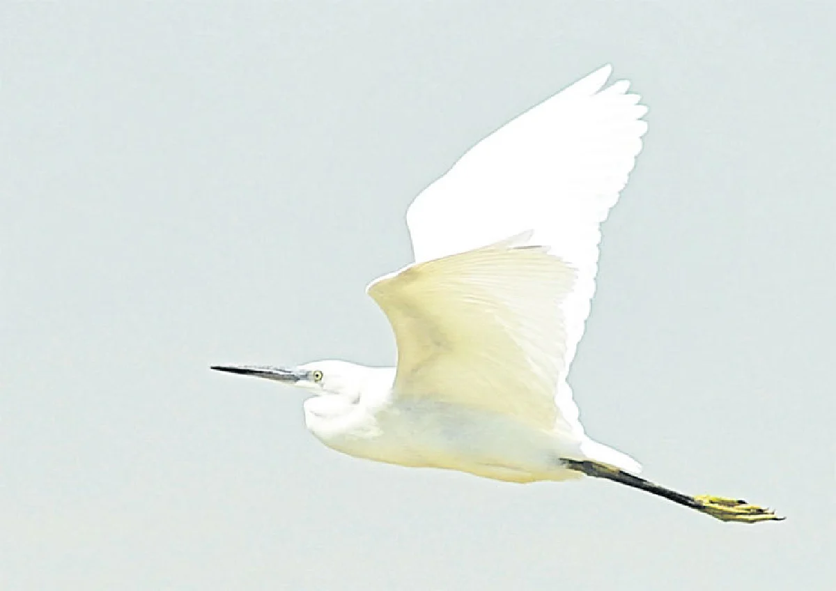 ‘จีบ’ใครคิดว่าไม่สำคัญ