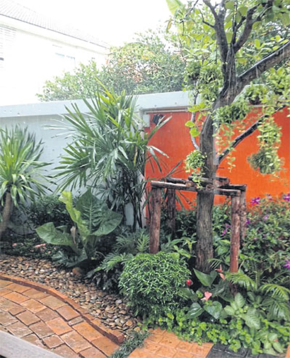 เนรมิตรั้วกำแพงให้เป็นสวนสวย