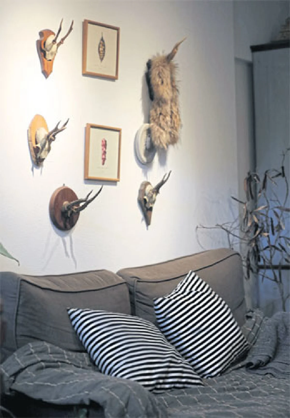 ต้นไม้ในบ้านสไตล์อังกฤษวินเทจ