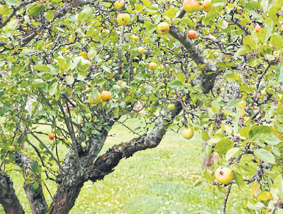 อยากสโลว์ไลฟ์...ไปเที่ยวนอร์เวย์