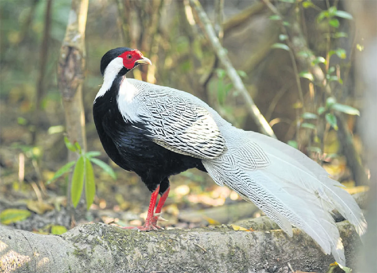 ‘จีบ’ใครคิดว่าไม่สำคัญ
