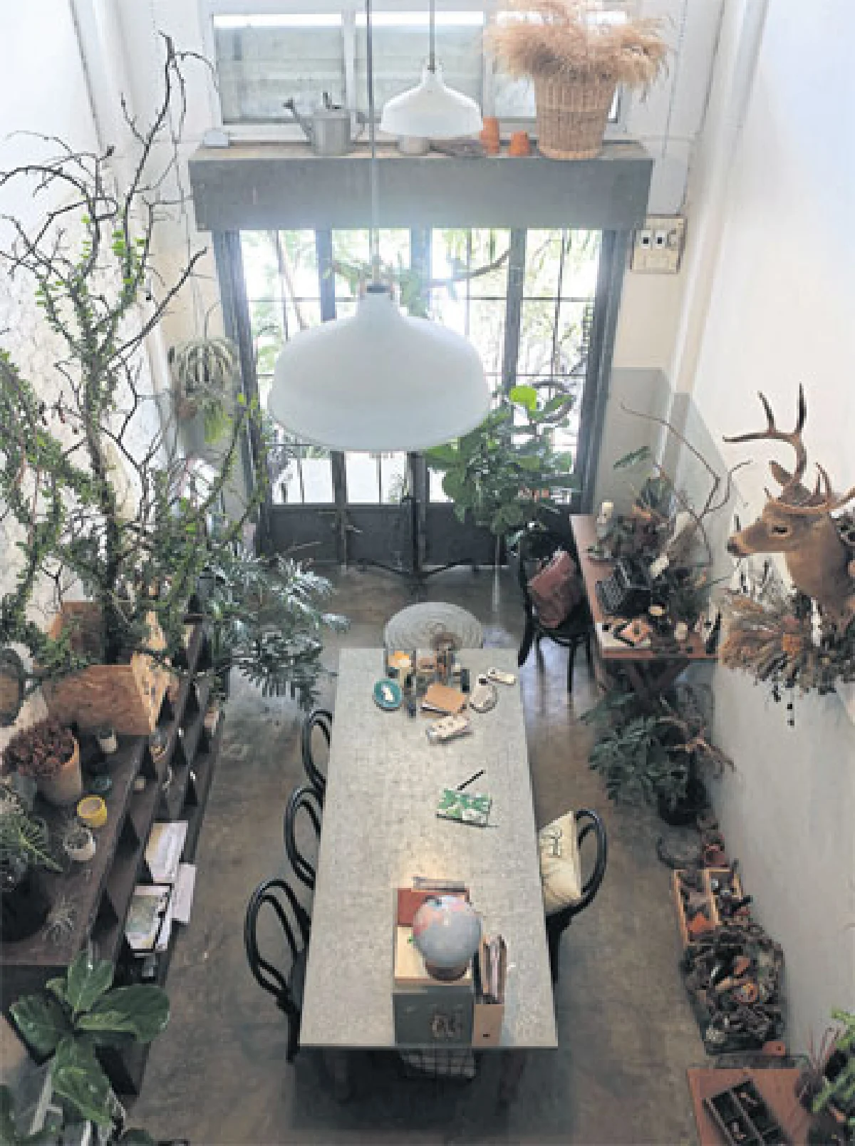 ต้นไม้ในบ้านสไตล์อังกฤษวินเทจ