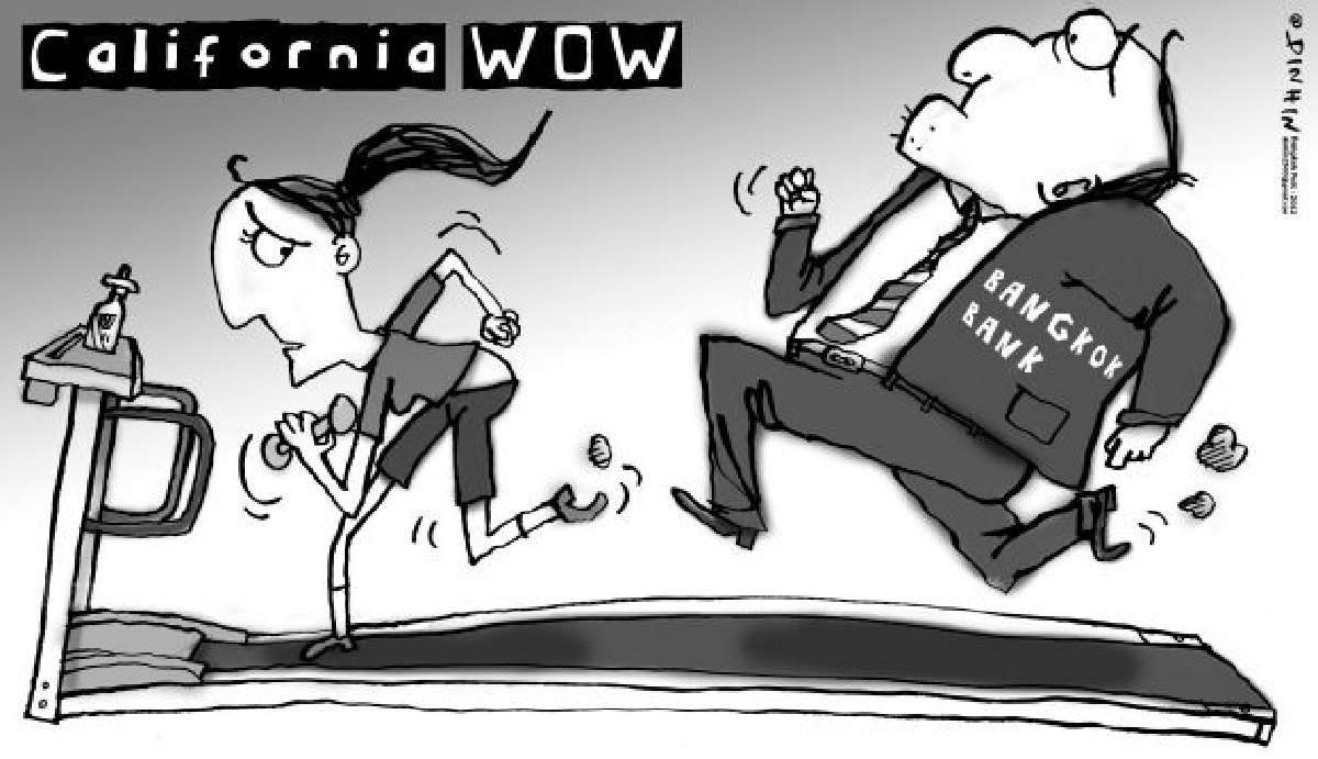 California Wow: Land seized by anti-money laundering agency