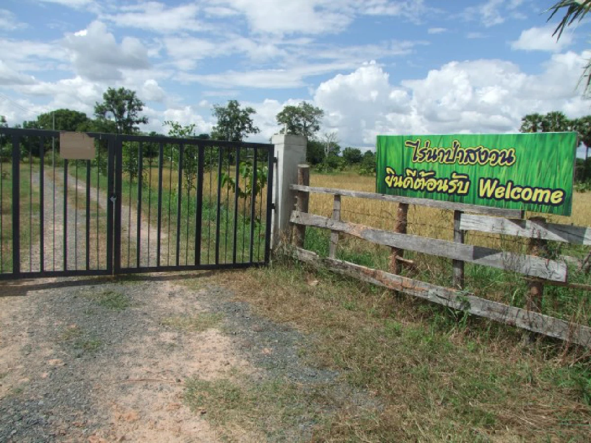 สามี-ภรรยาขอดูแลไร่ของ "ปอ" ต่อไปให้เป็นแหล่งเรียนรู้ด้านเกษตร