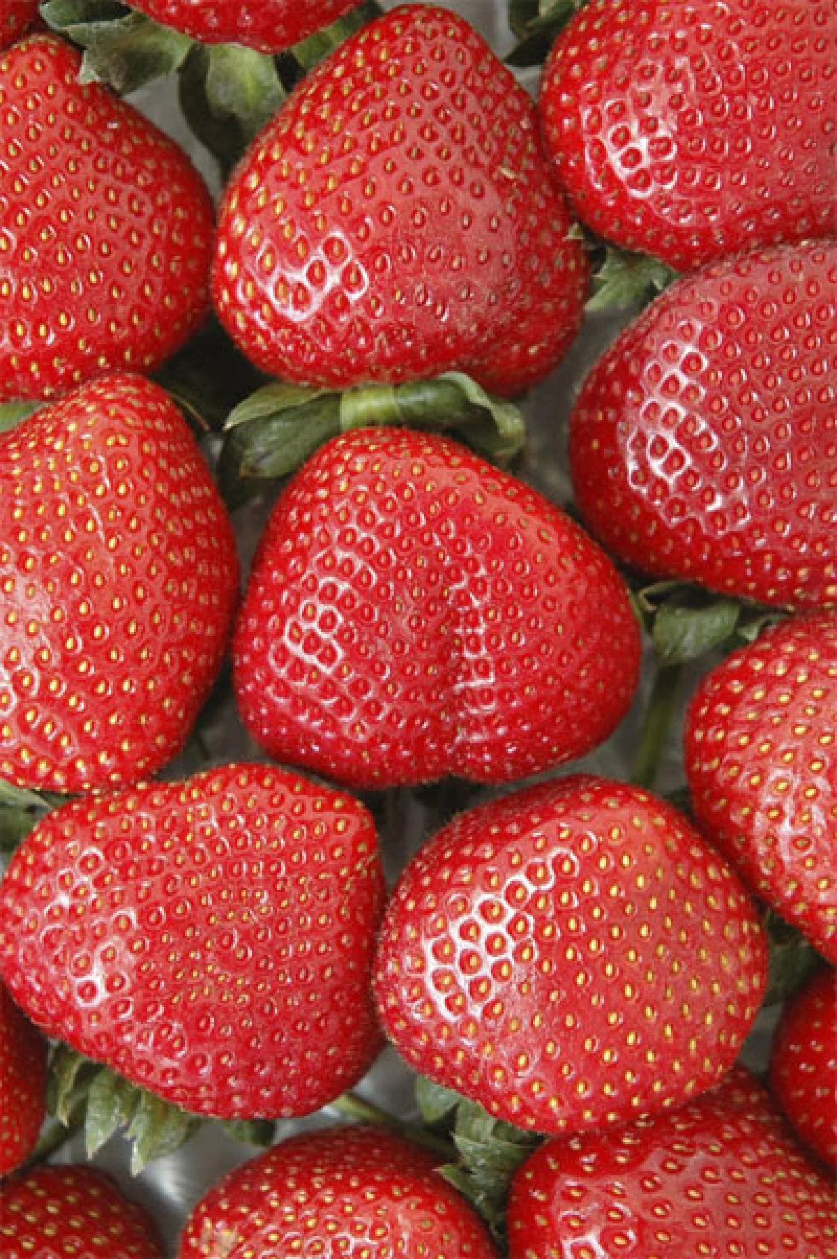 เคยถามตัวเองหรือไม่ว่า ทุกวันนี้กินผัก-ผลไม้ มีสารพิษที่ตกค้างในตัวคุณบ้างไหม!